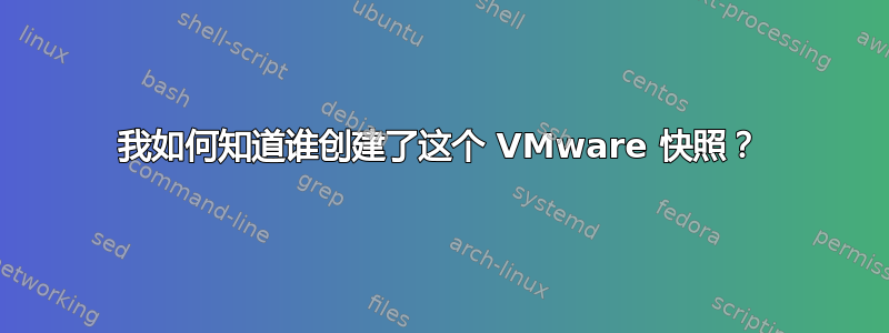 我如何知道谁创建了这个 VMware 快照？