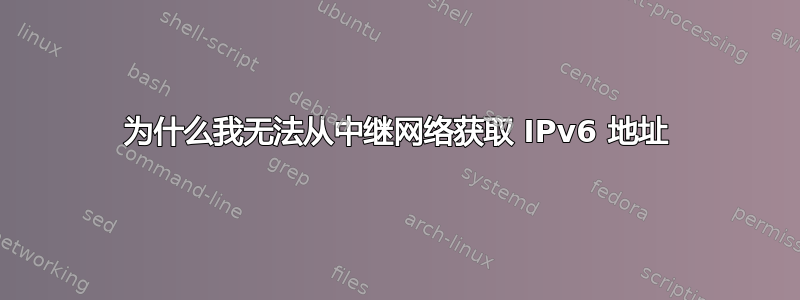 为什么我无法从中继网络获取 IPv6 地址