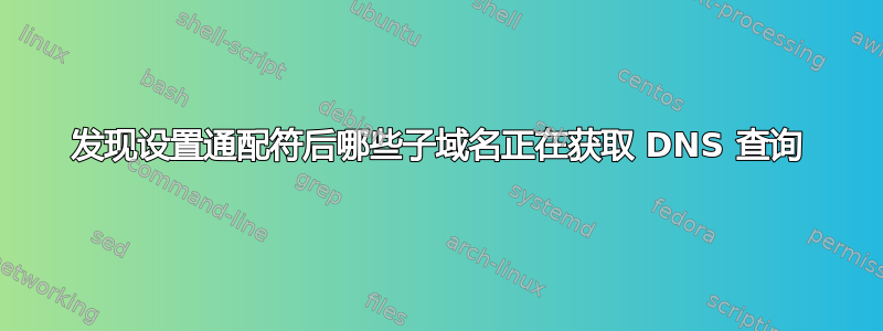 发现设置通配符后哪些子域名正在获取 DNS 查询