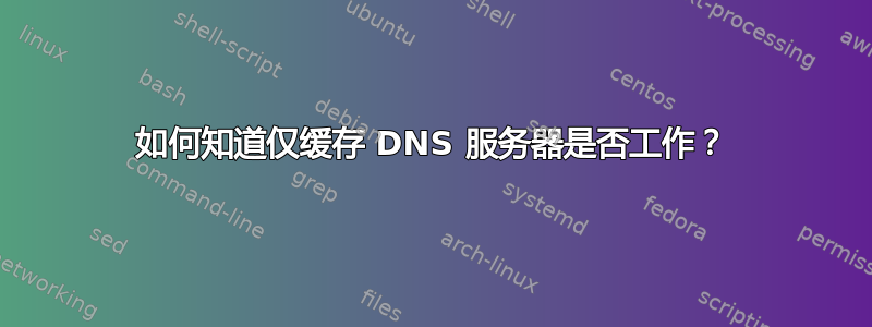 如何知道仅缓存 DNS 服务器是否工作？