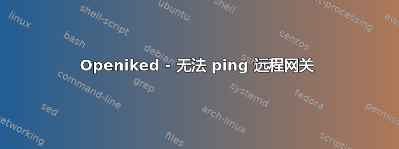 Openiked - 无法 ping 远程网关