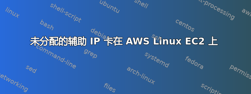 未分配的辅助 IP 卡在 AWS Linux EC2 上