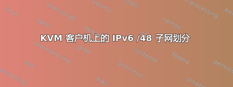 KVM 客户机上的 IPv6 /48 子网划分