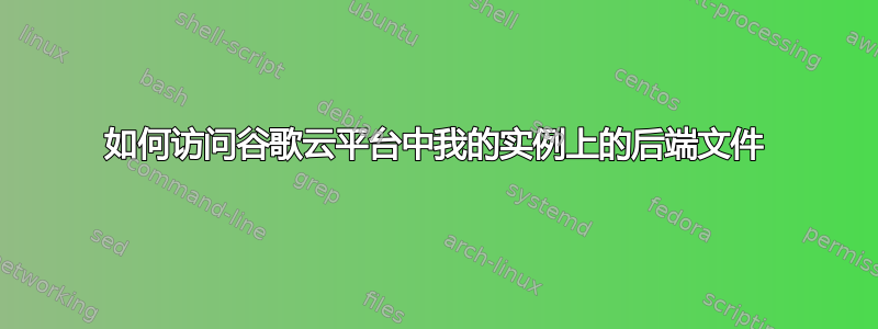 如何访问谷歌云平台中我的实例上的后端文件