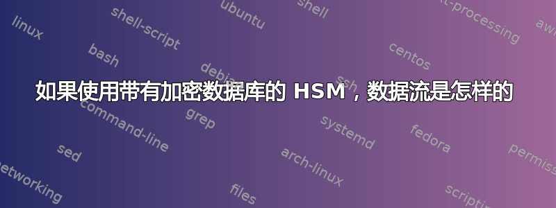 如果使用带有加密数据库的 HSM，数据流是怎样的