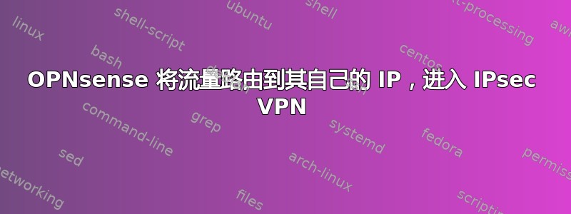 OPNsense 将流量路由到其自己的 IP，进入 IPsec VPN