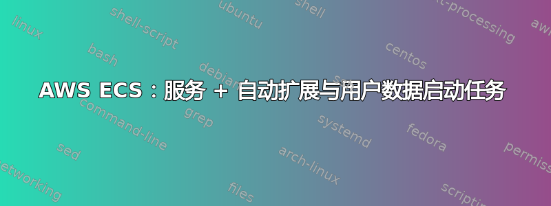 AWS ECS：服务 + 自动扩展与用户数据启动任务