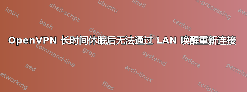 OpenVPN 长时间休眠后无法通过 LAN 唤醒重新连接