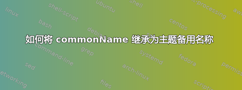 如何将 commonName 继承为主题备用名称