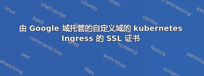 由 Google 域托管的自定义域的 kubernetes Ingress 的 SSL 证书