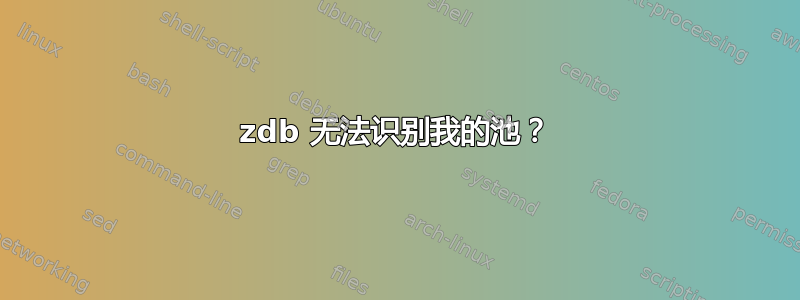 zdb 无法识别我的池？