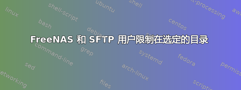 FreeNAS 和 SFTP 用户限制在选定的目录