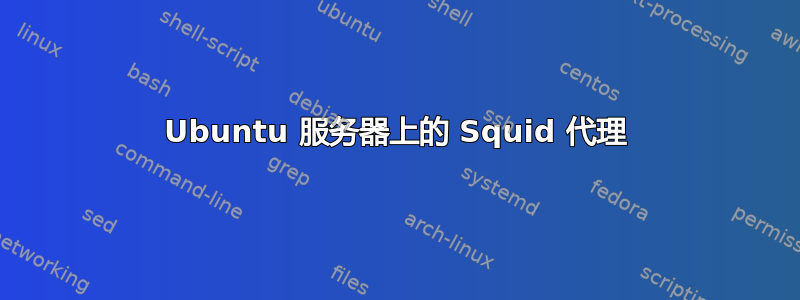 Ubuntu 服务器上的 Squid 代理