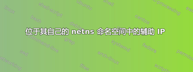 位于其自己的 netns 命名空间中的辅助 IP