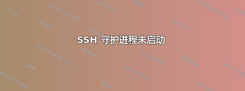 SSH 守护进程未启动