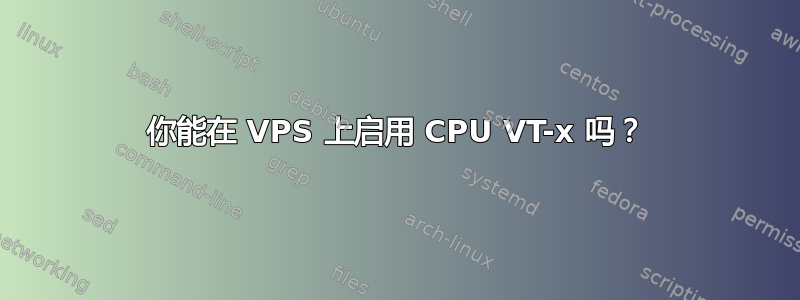 你能在 VPS 上启用 CPU VT-x 吗？