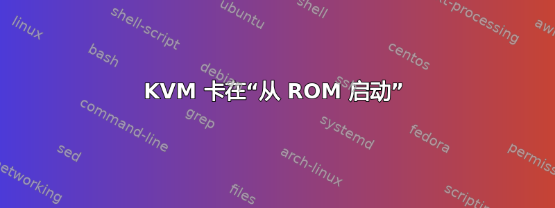 KVM 卡在“从 ROM 启动”