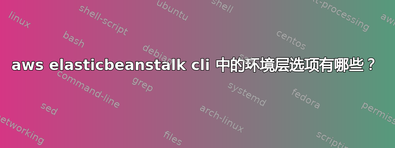 aws elasticbeanstalk cli 中的环境层选项有哪些？