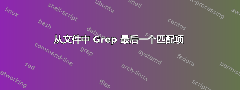 从文件中 Grep 最后一个匹配项