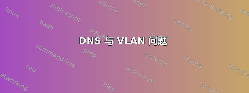 DNS 与 VLAN 问题