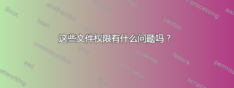 这些文件权限有什么问题吗？