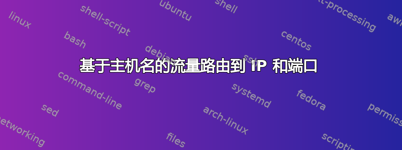 基于主机名的流量路由到 IP 和端口