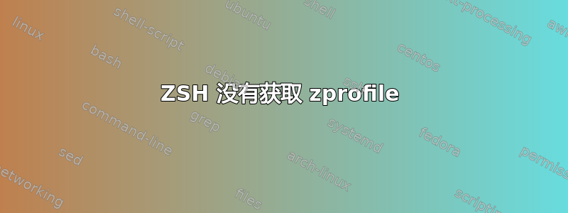 ZSH 没有获取 zprofile