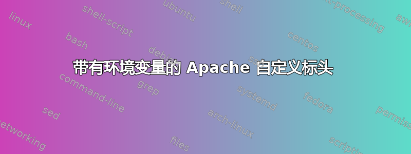 带有环境变量的 Apache 自定义标头