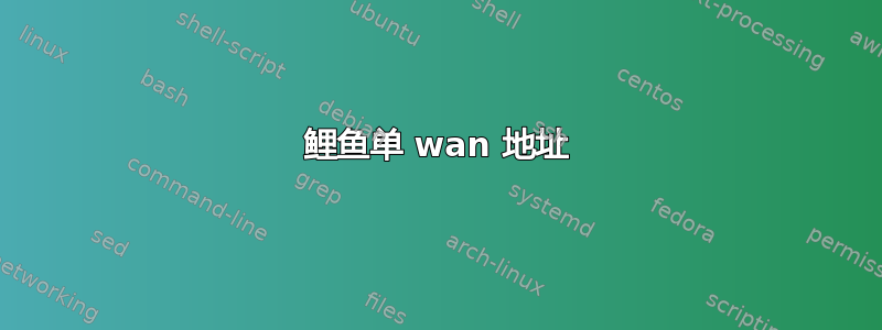 鲤鱼单 wan 地址