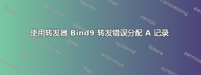 使用转发器 Bind9 转发错误分配 A 记录