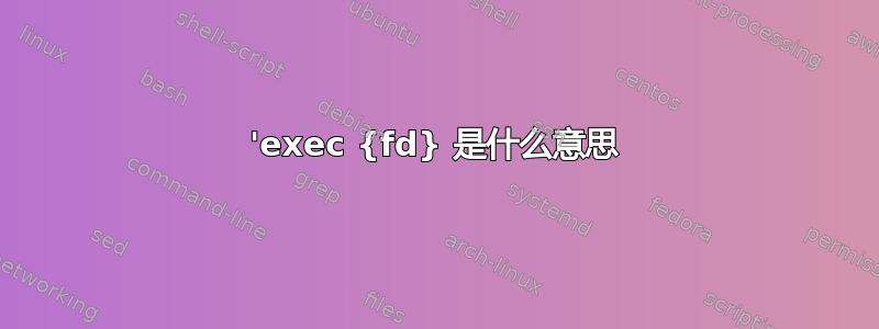 'exec {fd} 是什么意思