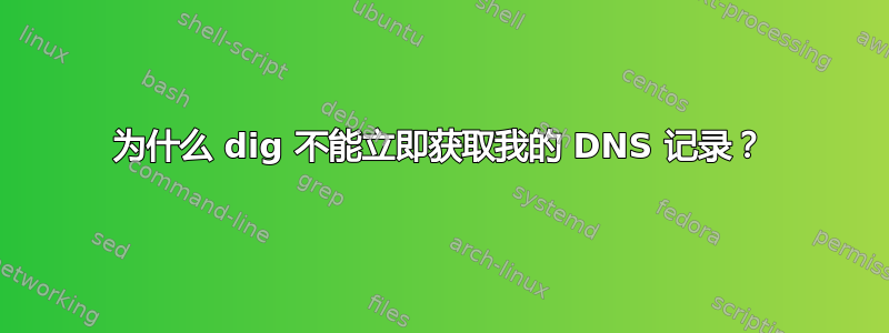 为什么 dig 不能立即获取我的 DNS 记录？