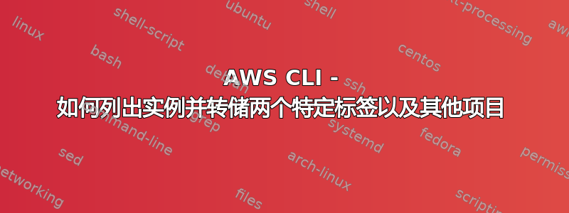 AWS CLI - 如何列出实例并转储两个特定标签以及其他项目