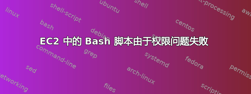 EC2 中的 Bash 脚本由于权限问题失败