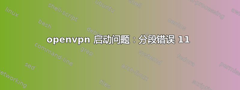 openvpn 启动问题：分段错误 11