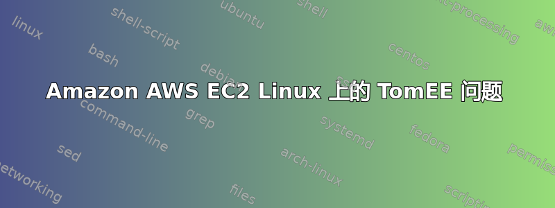 Amazon AWS EC2 Linux 上的 TomEE 问题