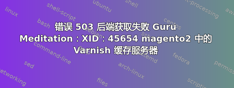 错误 503 后端获取失败 Guru Meditation：XID：45654 magento2 中的 Varnish 缓存服务器