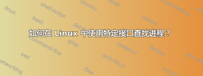 如何在 Linux 中使用特定接口查找进程？