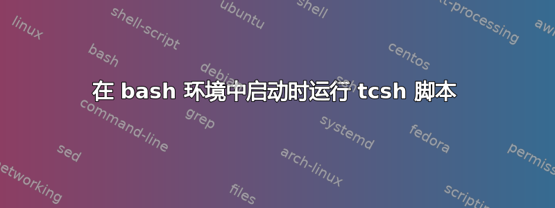 在 bash 环境中启动时运行 tcsh 脚本