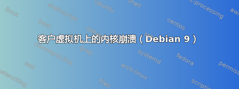 客户虚拟机上的内核崩溃（Debian 9）