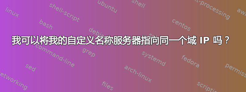 我可以将我的自定义名称服务器指向同一个域 IP 吗？