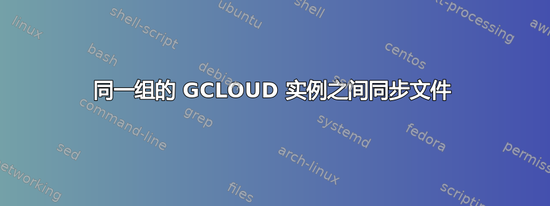 同一组的 GCLOUD 实例之间同步文件