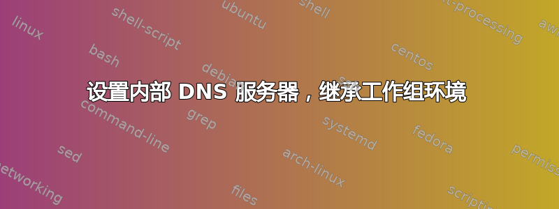 设置内部 DNS 服务器，继承工作组环境