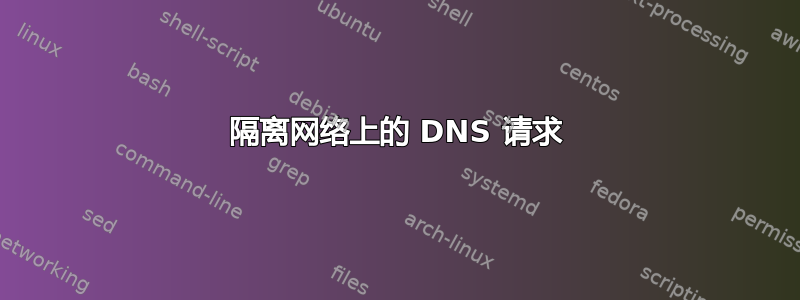 隔离网络上的 DNS 请求