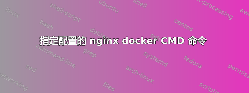 指定配置的 nginx docker CMD 命令