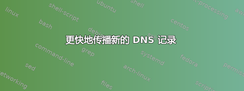 更快地传播新的 DNS 记录