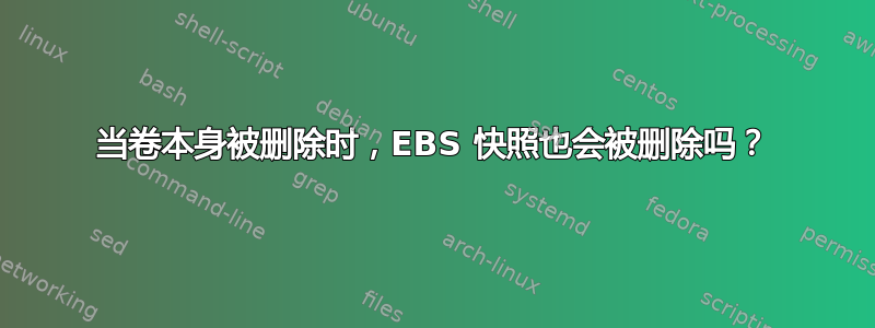 当卷本身被删除时，EBS 快照也会被删除吗？