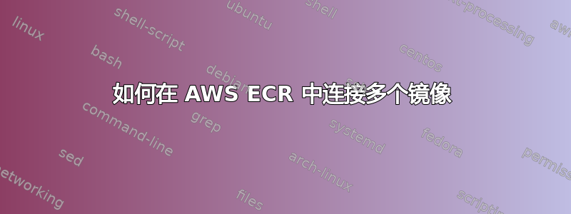 如何在 AWS ECR 中连接多个镜像