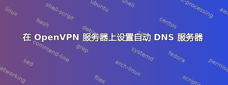 在 OpenVPN 服务器上设置自动 DNS 服务器