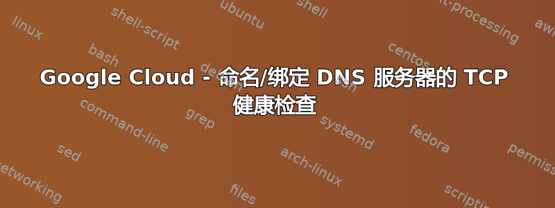 Google Cloud - 命名/绑定 DNS 服务器的 TCP 健康检查